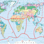 Зоогеографическая карта