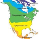 климат Северной Америки
