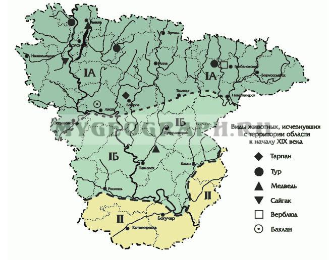 Карта животных воронежской области